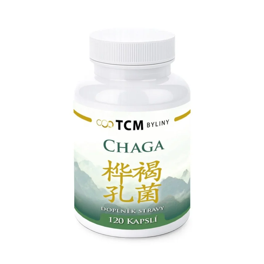 Chaga tradiční čínská medicína TCM Byliny