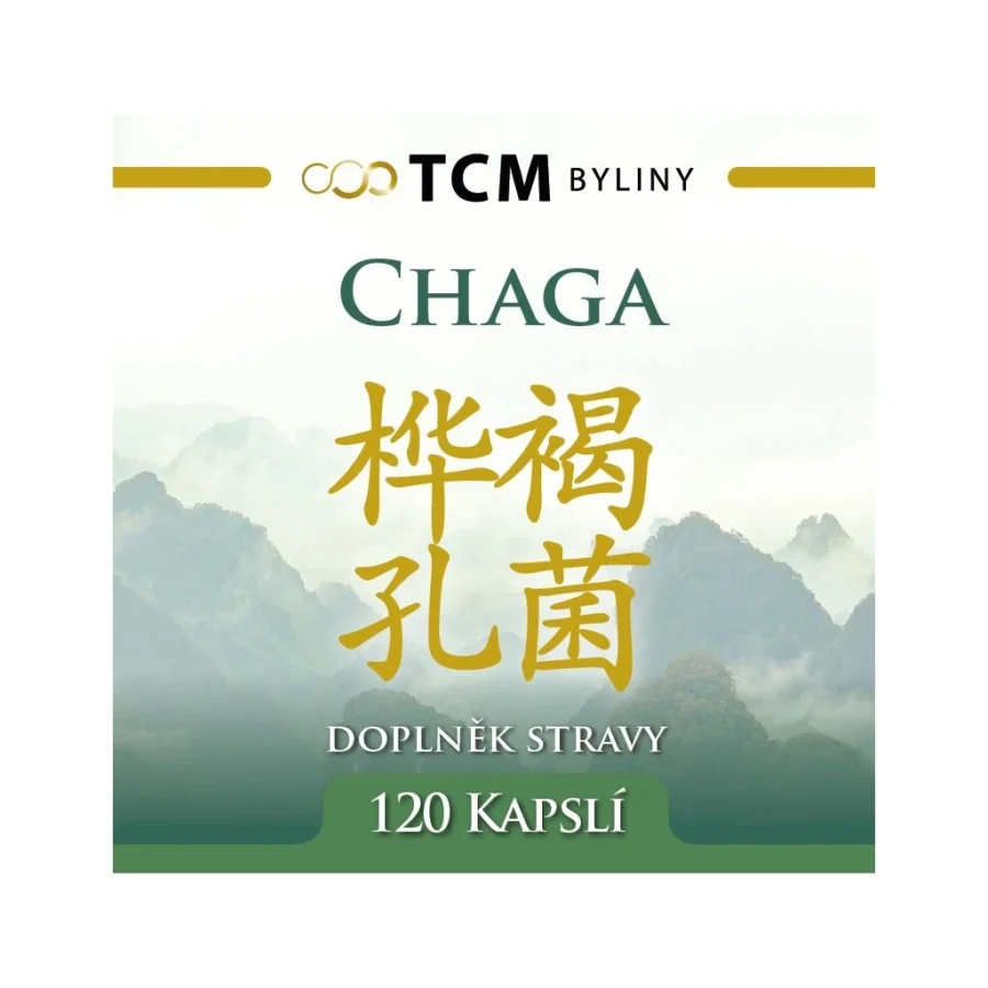 Chaga tradiční čínská medicína TCM Byliny