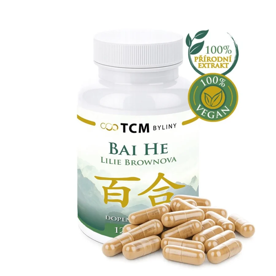 Bai He tradiční čínská medicína TCM Byliny