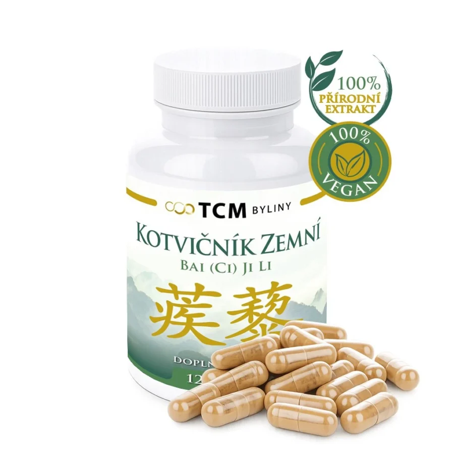Kotvičník zemní tradiční čínská medicína TCM Byliny