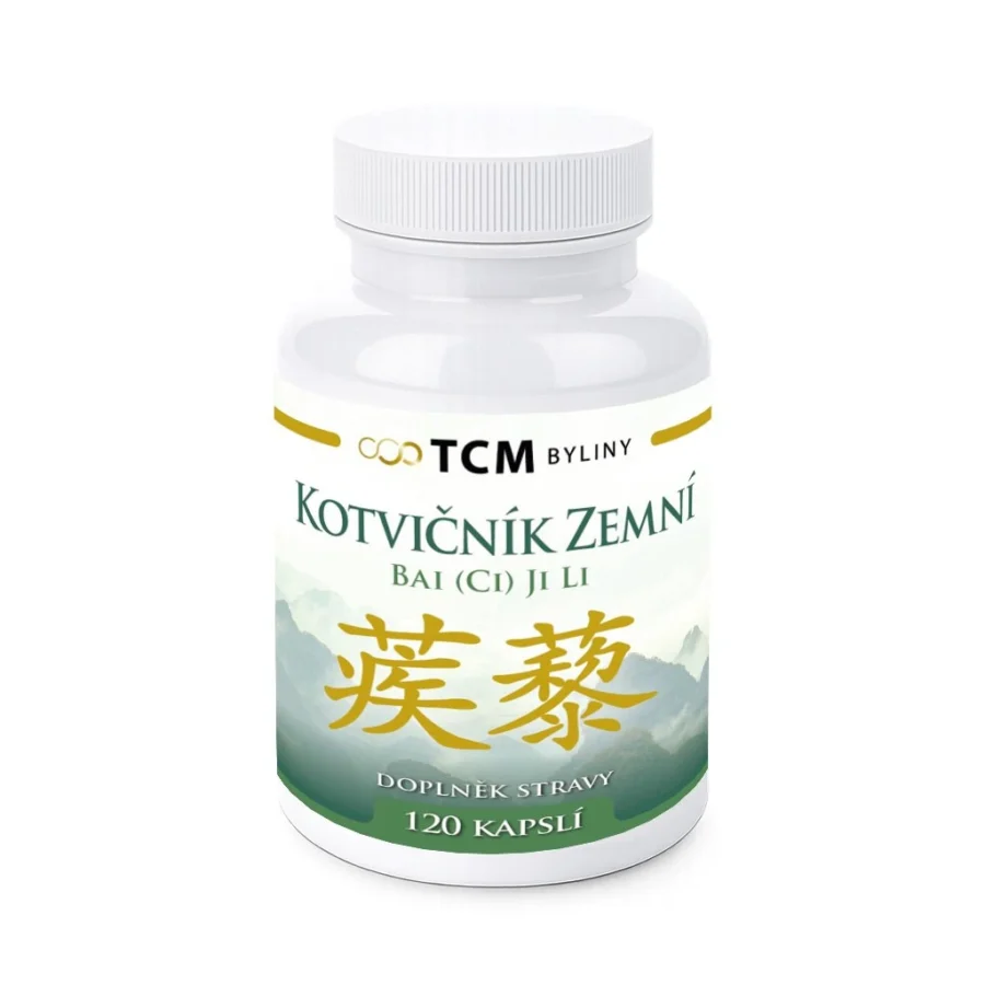 Kotvičník zemní tradiční čínská medicína TCM Byliny