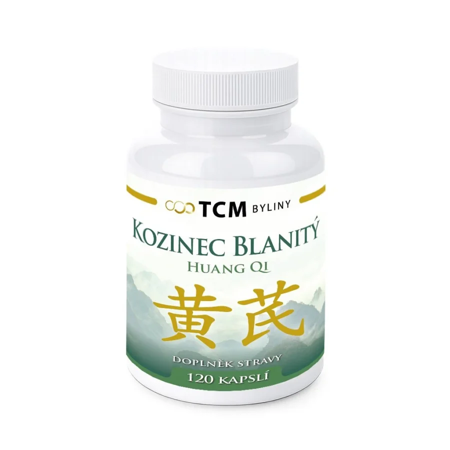 Kozinec blanitý tradiční čínská medicína TCM Byliny