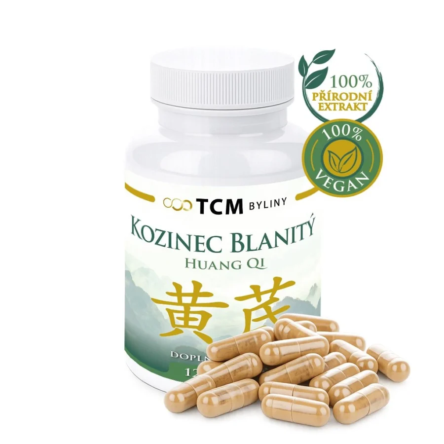 Kozinec blanitý tradiční čínská medicína TCM Byliny