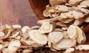 Bu Zhong tradiční čínská medicína TCM Byliny