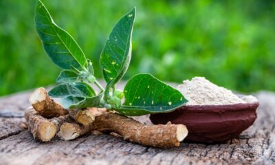 ASHWAGANDHA tradiční čínská medicína TCM Byliny