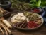 Du Huo Ji Sheng Tang tradiční čínská medicína TCM Byliny
