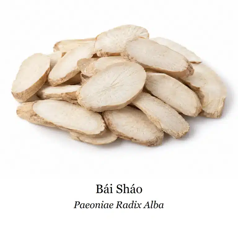 Sušená surovina – Bai Shao
