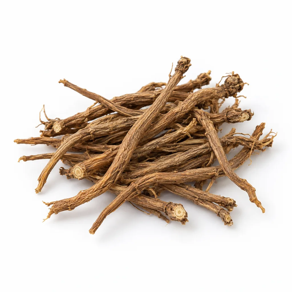 Chai Hu – sušený kořen prorostlíku čínského (Bupleurum chinense)