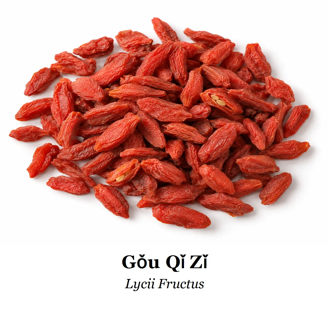 Sušená surovina – Gou Qi Zi
