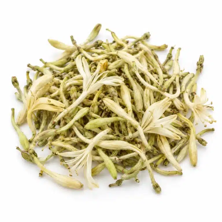 Jin Yin Hua – sušené květy zimolezu japonského (Lonicera japonica)