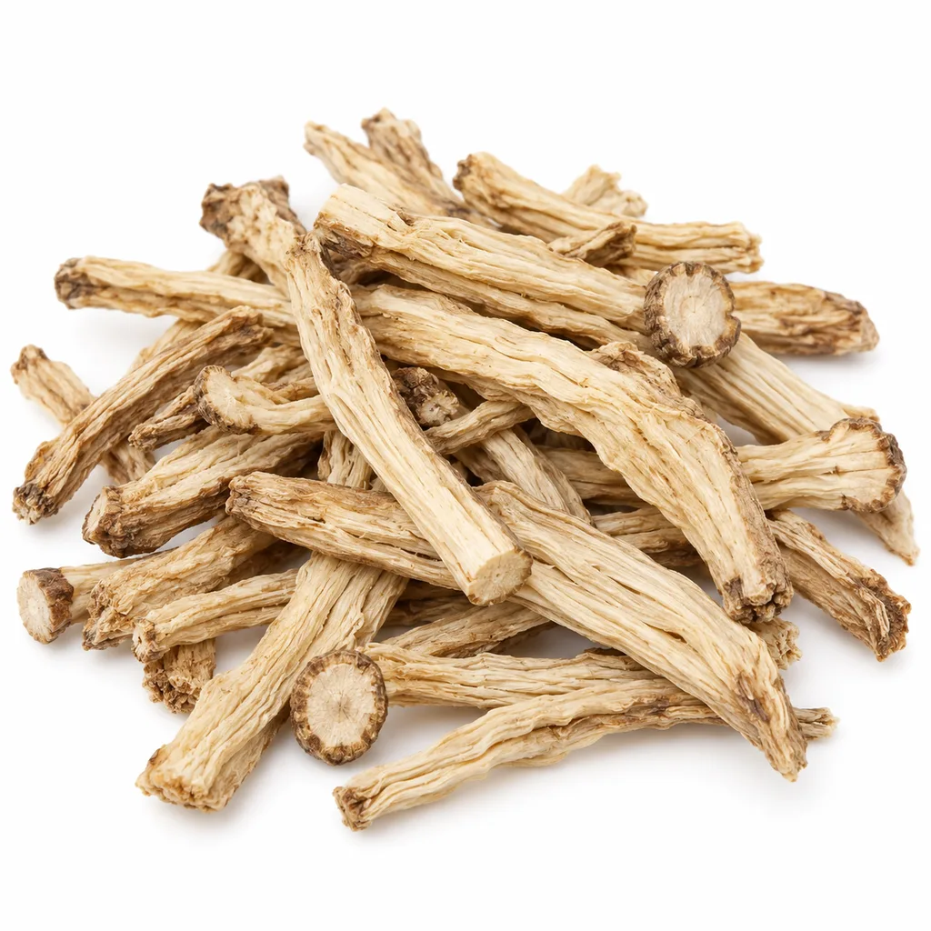 Fang Feng – kořen ledebouriely rozkladité (Saposhnikovia divaricata)