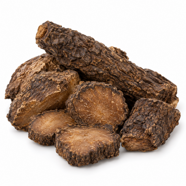 Rou Cong Rong – surovina (dužnatá lodyha se šupinovitými listy)