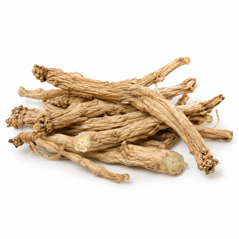 Dang Shen – surovina (kořen)
